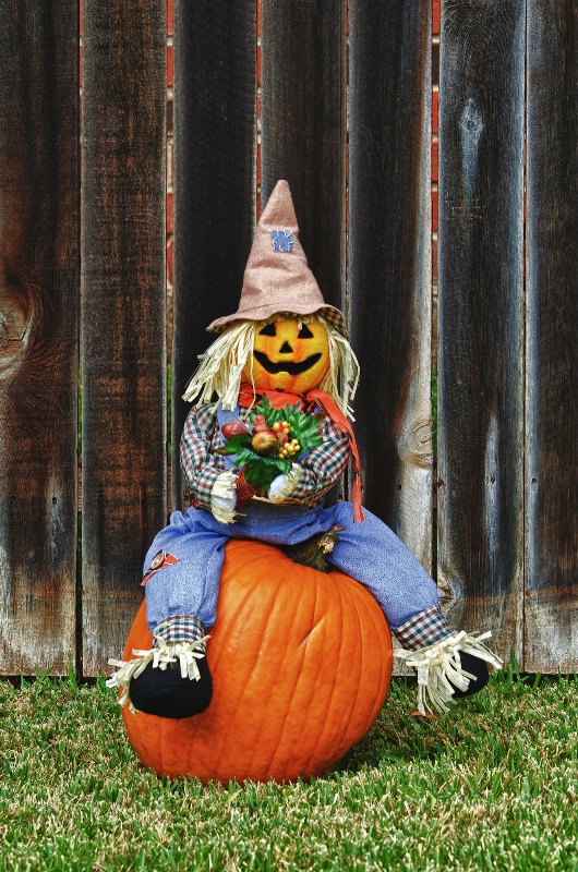 Happy Scarecrow