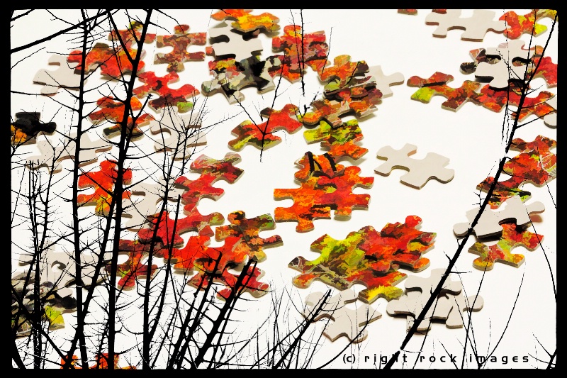 Pieces of Autumn