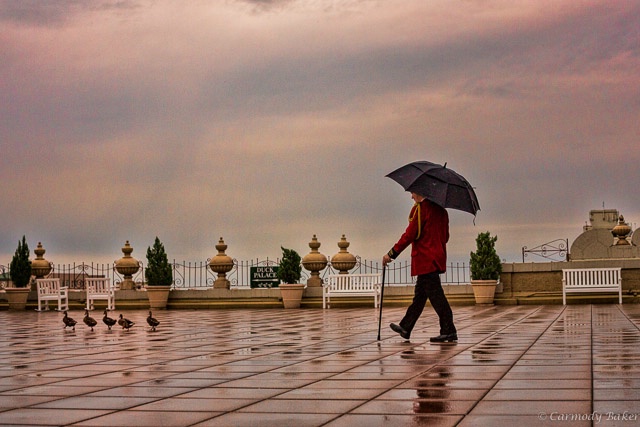 The Duck Walk