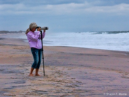 Ocean Photographer