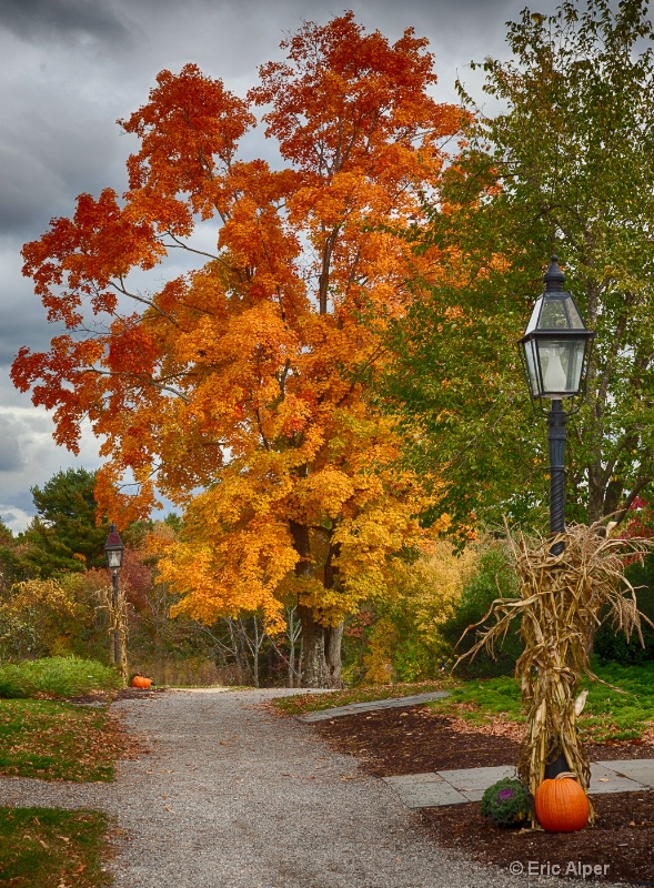 A Fall stroll in New England
