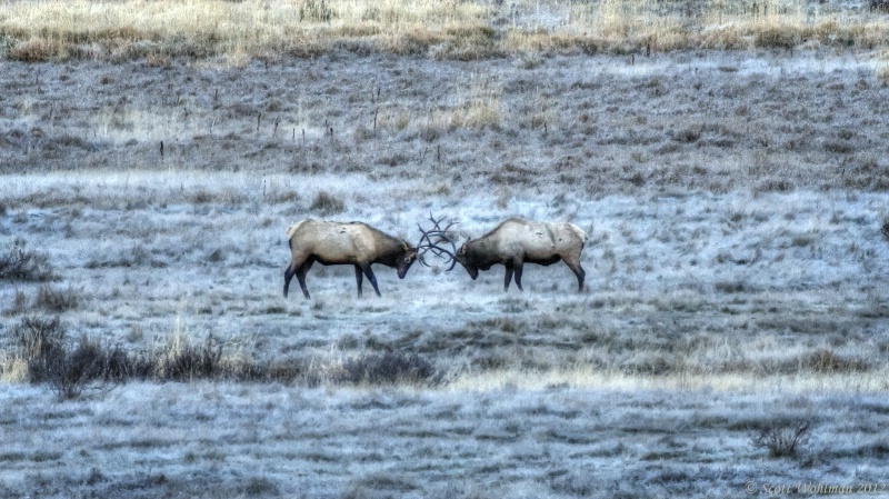 Squaring Off