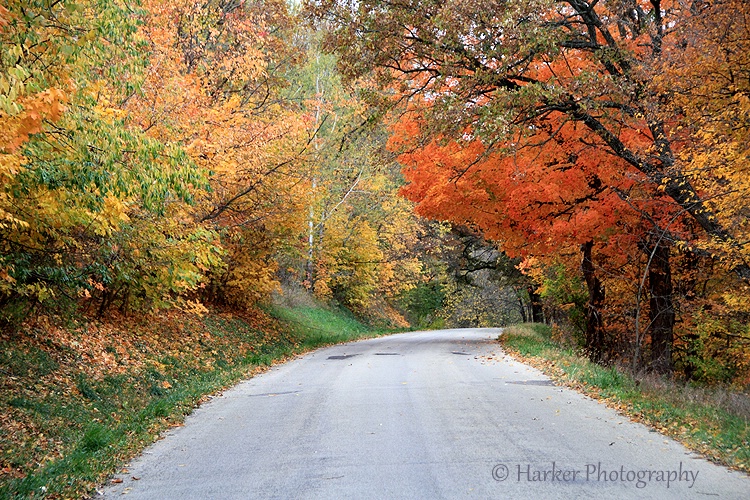 Beautiful Fall Drive