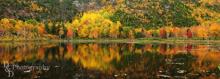 View of the Lake