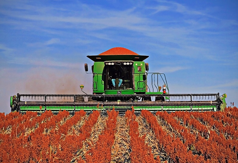 ~ FARMER'S HARVEST ~