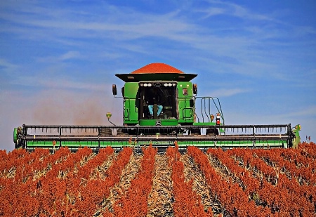 ~ FARMER'S HARVEST ~