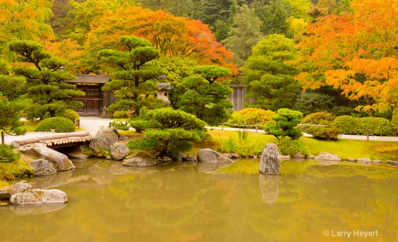 Seattle's Japanese Tea Garden