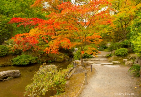 Seattle's Japanese Tea Garden