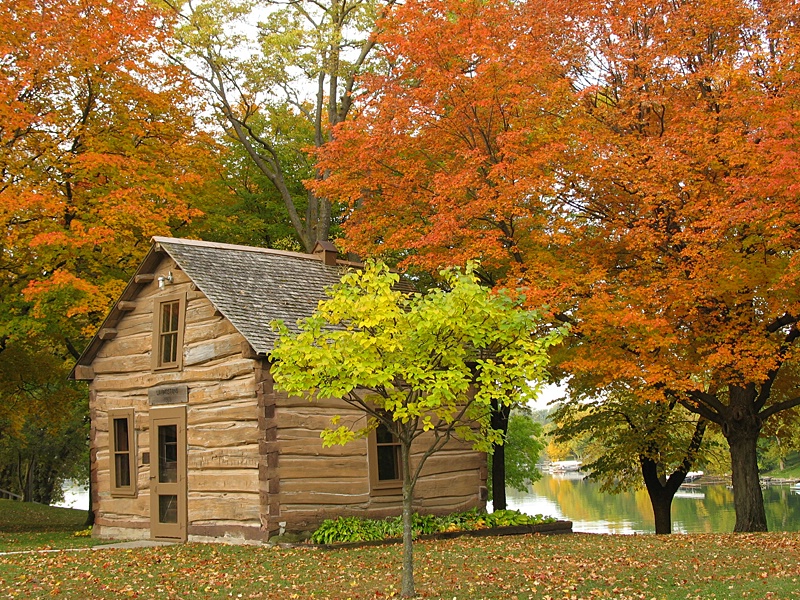 Beauty of Autumn