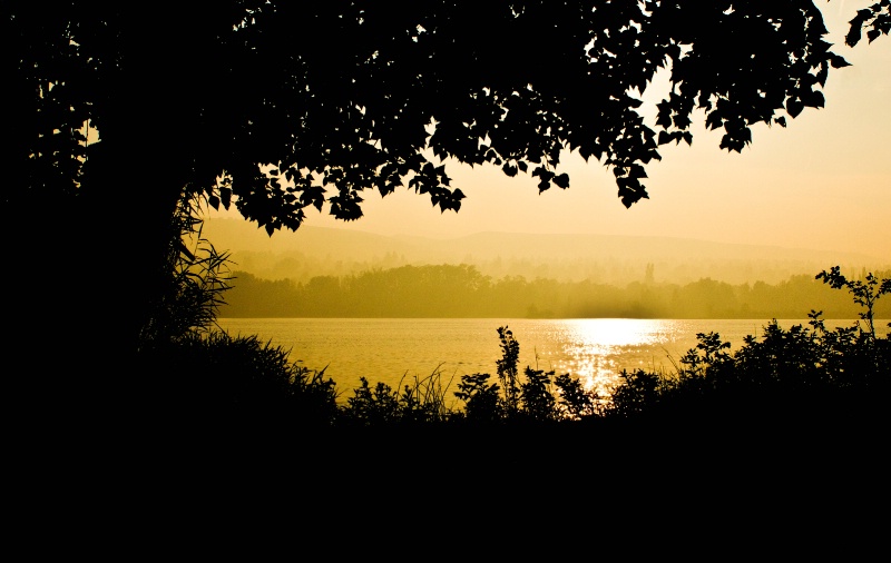 Dawn on the Columbia river