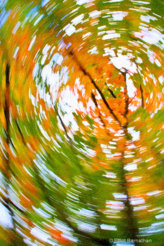 Fall Abstraction 6