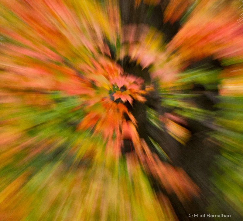 Fall Abstraction 3