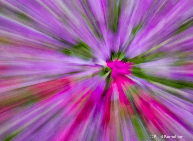 Floral Abstraction 3
