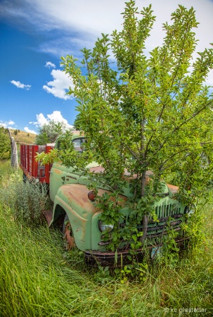 Belt tree truck v