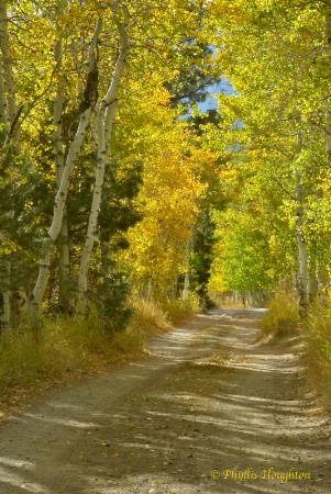 Country Road