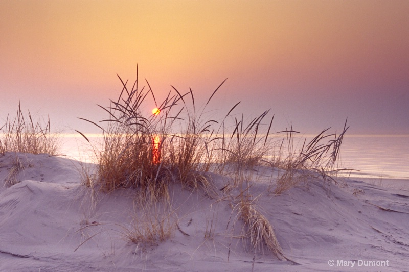sunrise over the dunes