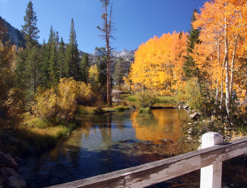 Fall in the Eastern Sierras