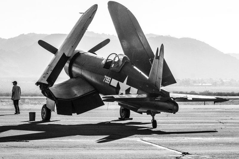 Warbird at rest