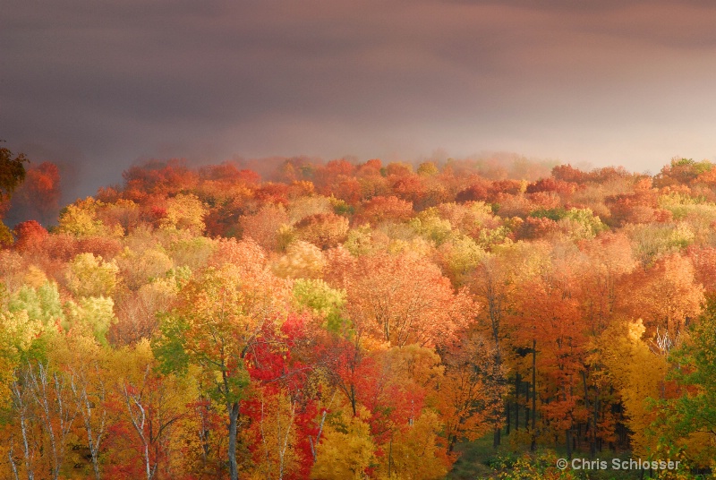 An Autumn Glow