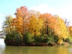 Colored Island
