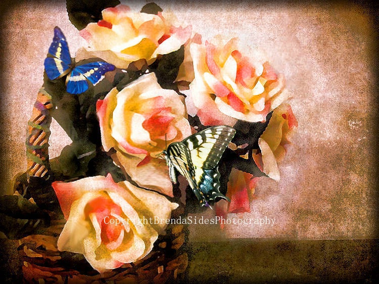 ~Rose Basket Visitors~