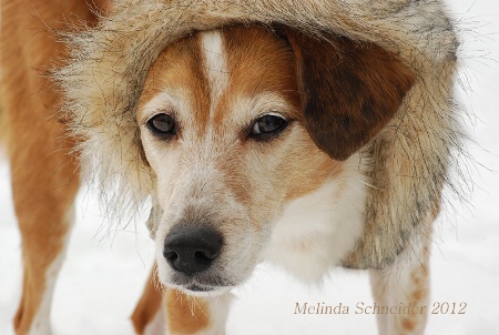 Fur Hat