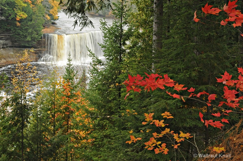 Fall Colors at Tahquamenon Falls