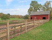 Barnyard