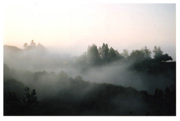 Fog View