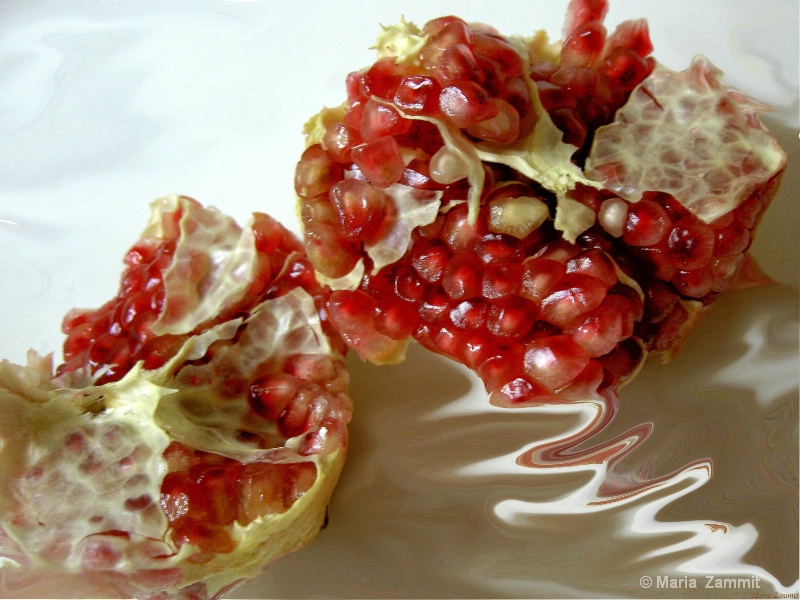 pomegranet abstract 2