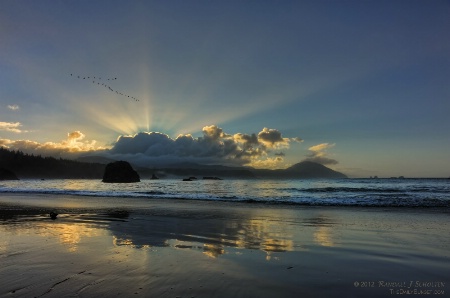 Sunbeams Over The Coastals