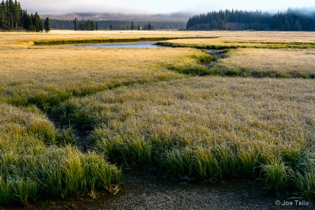 Pelican Creek Meadow