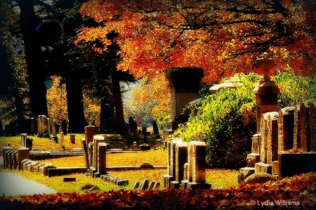 Cemetery Colors