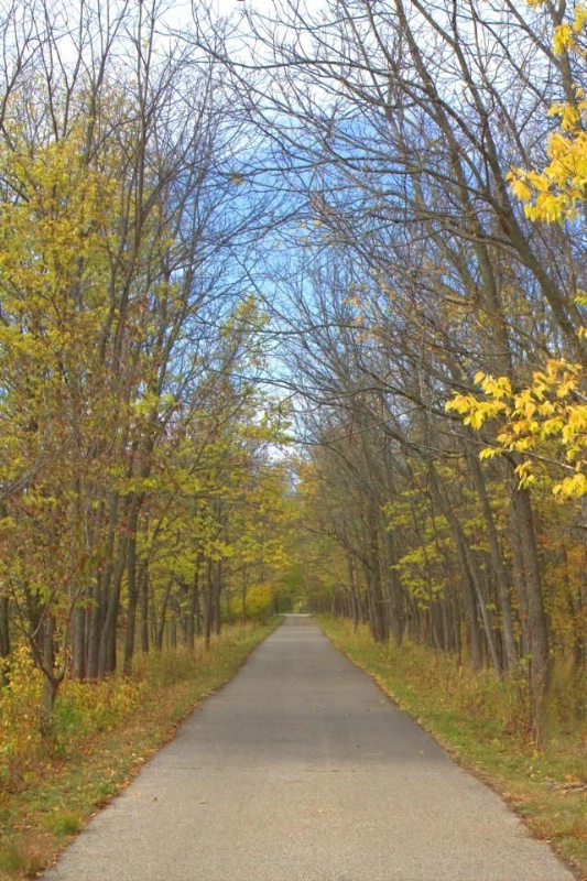 running trail