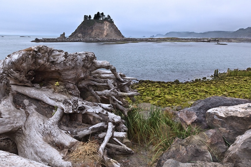 LaPush Beach EP - ID: 13439670 © Patricia A. Casey