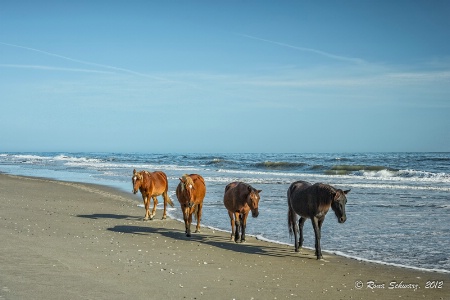 Beach Parade