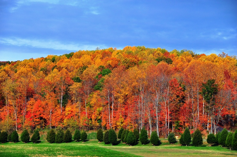 A Fall Day