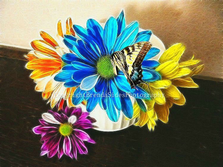 ~Four Daisies and Butterfly~