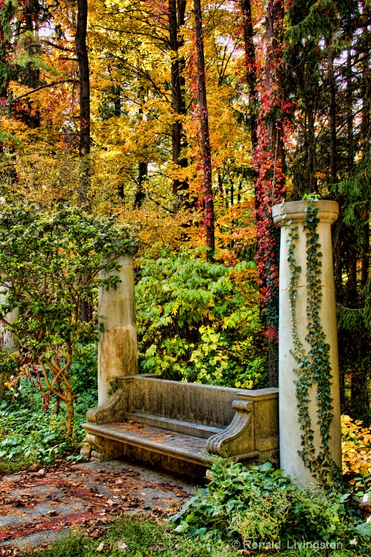 Garden Bench