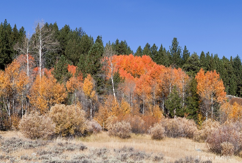 Hope Valley, CA