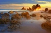 Rock of Gold