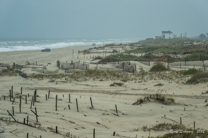 Foggy Morning on Carova Beach: OBX, NC