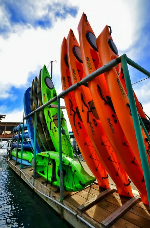 Kayaks Lined Up in Morro Bay California