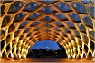 The Hive