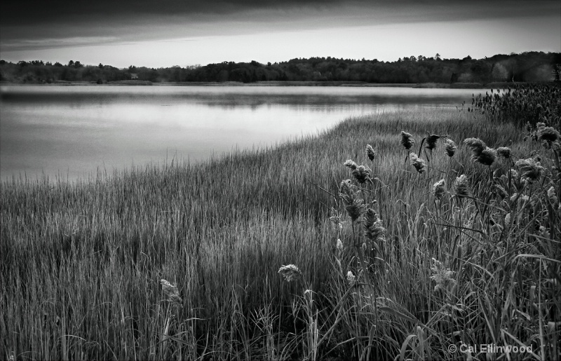 At The Bend In The River