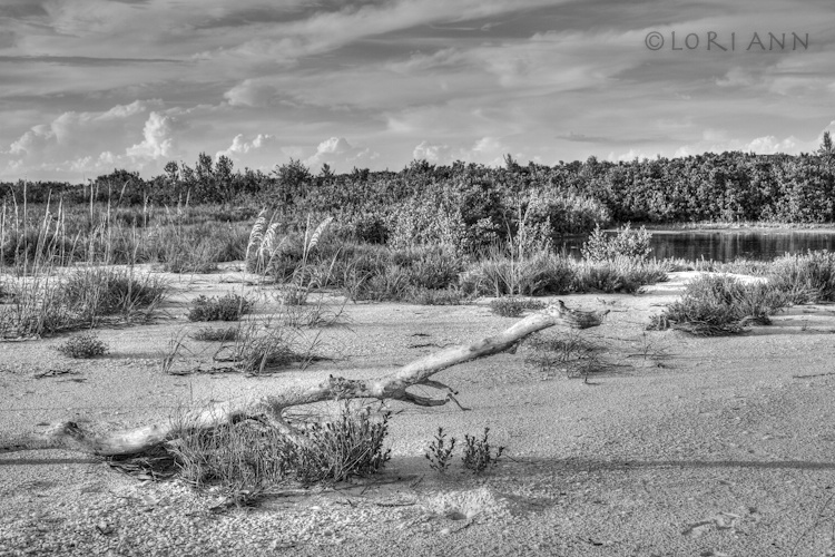 Islandscape
