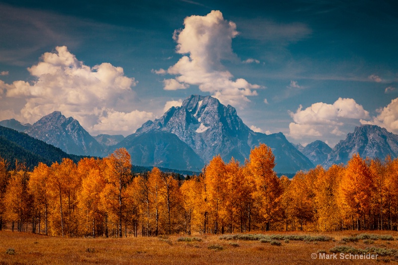 Teton fall - ID: 13443336 © Mark Schneider