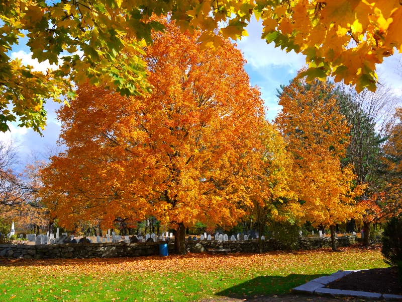 Beautiful Fall Colors 2012
