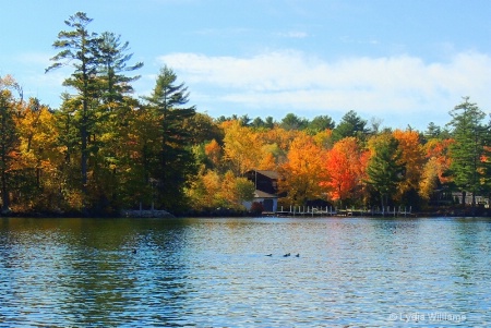 Lake Foliage