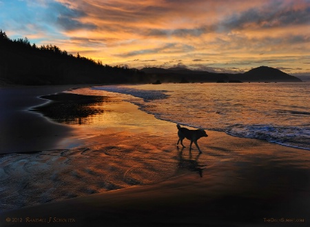 Seashore in Reds